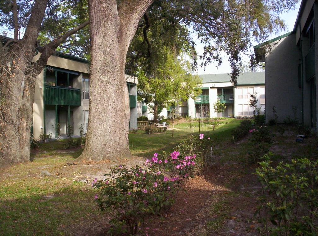 Regency Oaks Apartments Gainesville FL 32608 3523785766